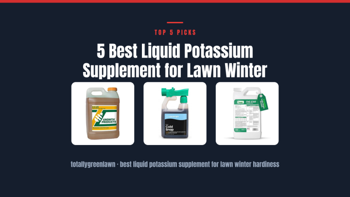 5 Best Liquid Potassium Supplement for Lawn Winter Hardiness