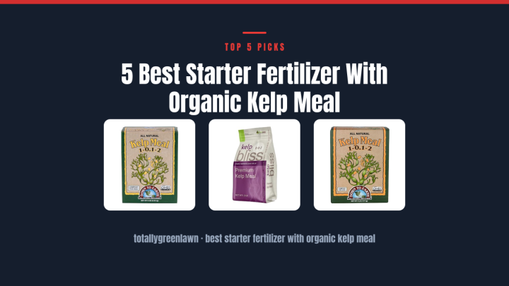 5 Best Starter Fertilizer With Organic Kelp Meal