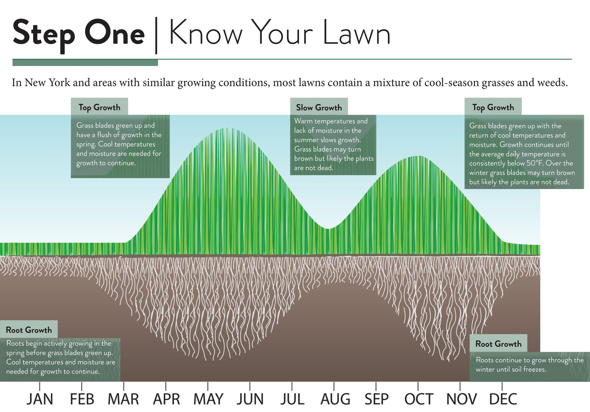cool-season vs warm-season grass seeding timing