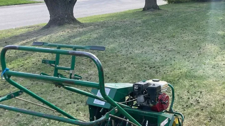 How to Plant Microclover in Existing Lawn Without Killing
