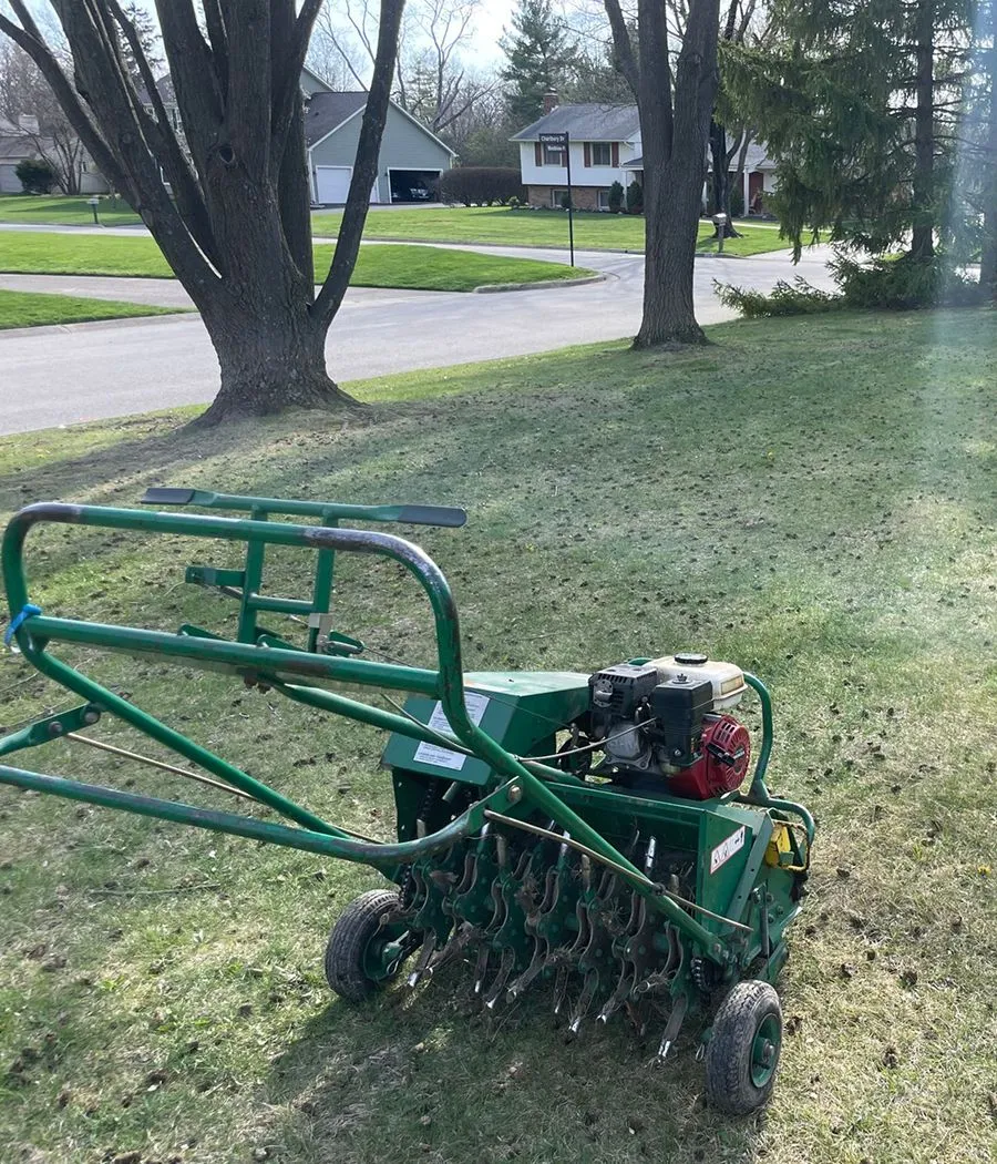 core aeration and dethatching for overseeding