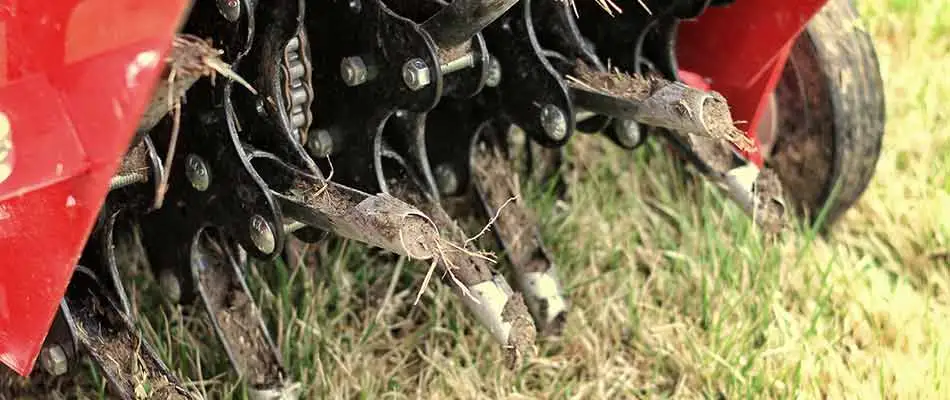 core aeration and topdressing for lawn
