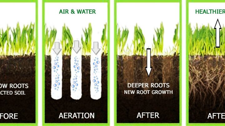 Do Aerator Shoes Work or Just Compact Your Soil?