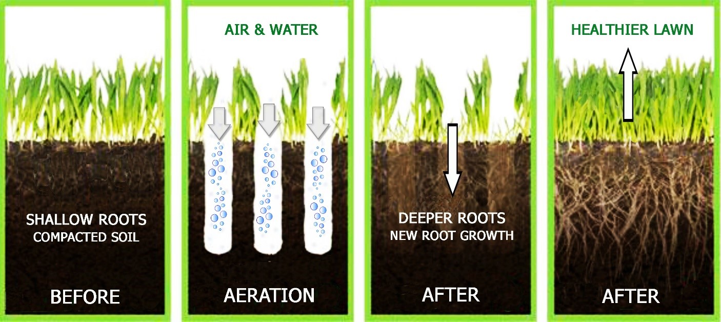 core aeration vs spike aeration vs liquid aeration