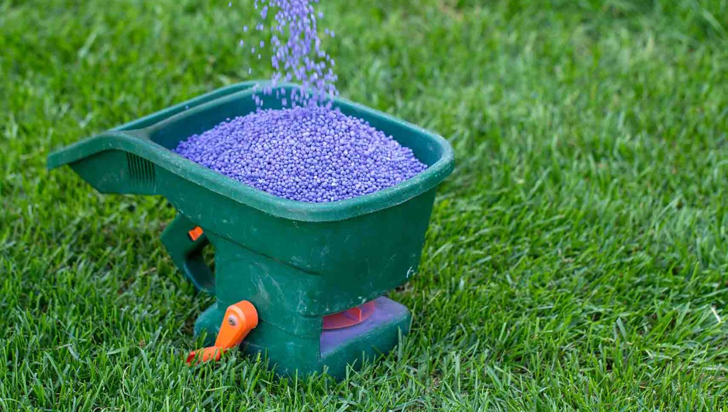 Fall potassium fertilization (late-season K application)