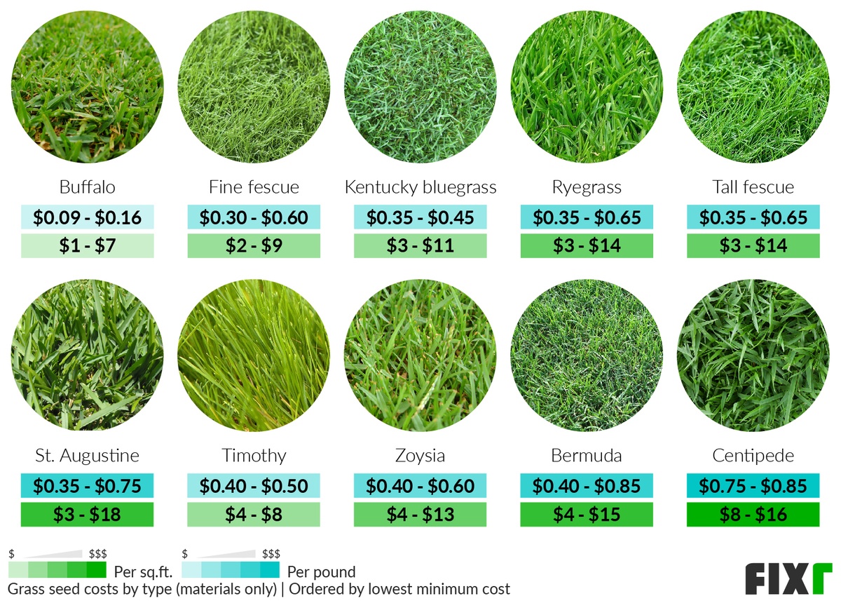 germination timelines by grass type
