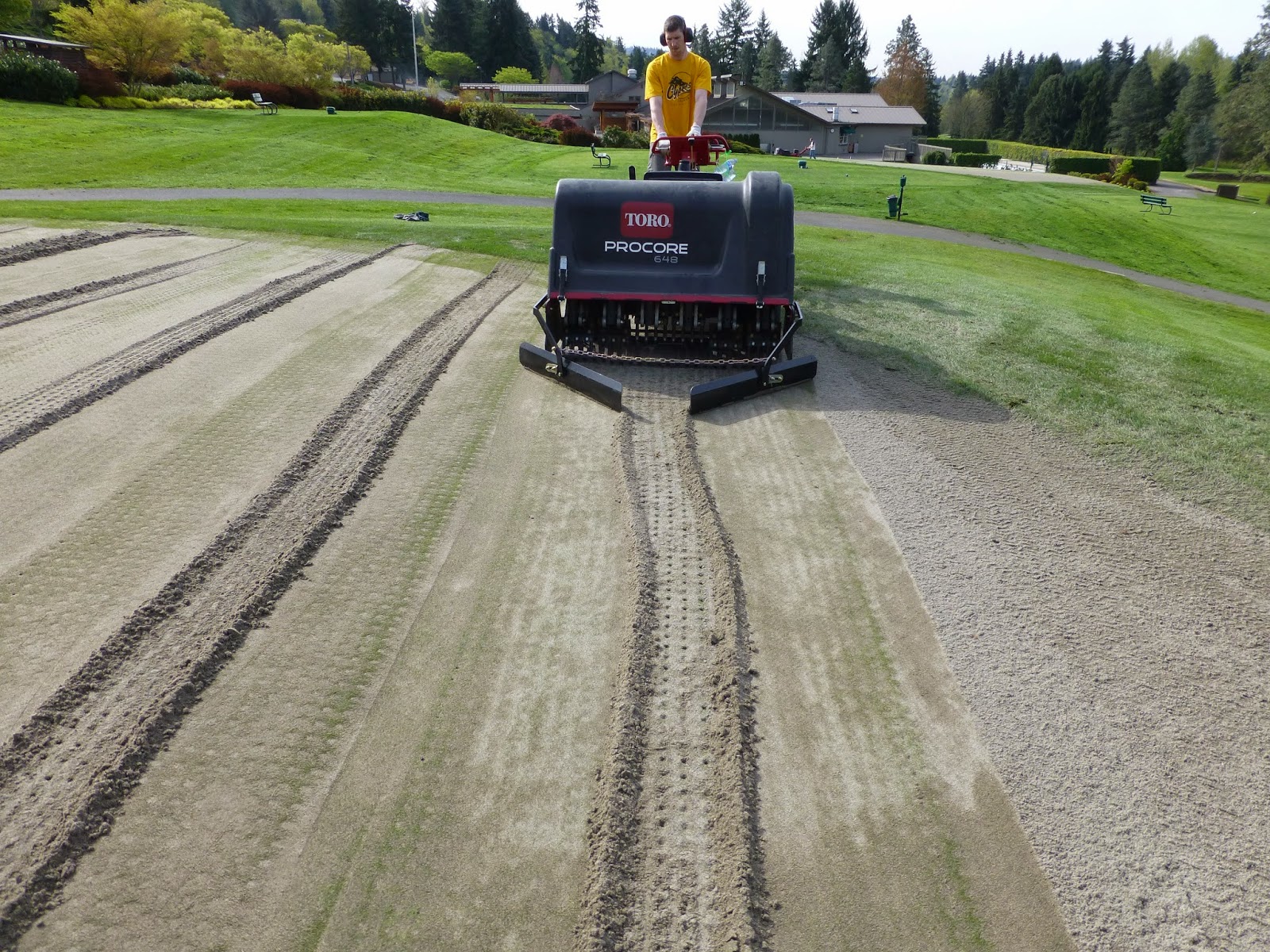 hollow tine vs solid tine aerator