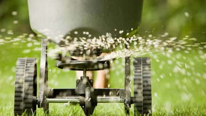 How to Apply Lime to Your Lawn Correctly: A Complete Guide