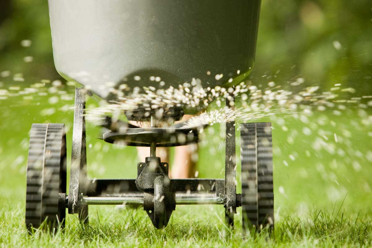 how to apply lime to lawn correctly