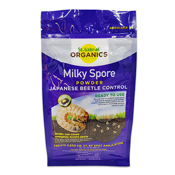how to apply milky spore powder for japanese beetles