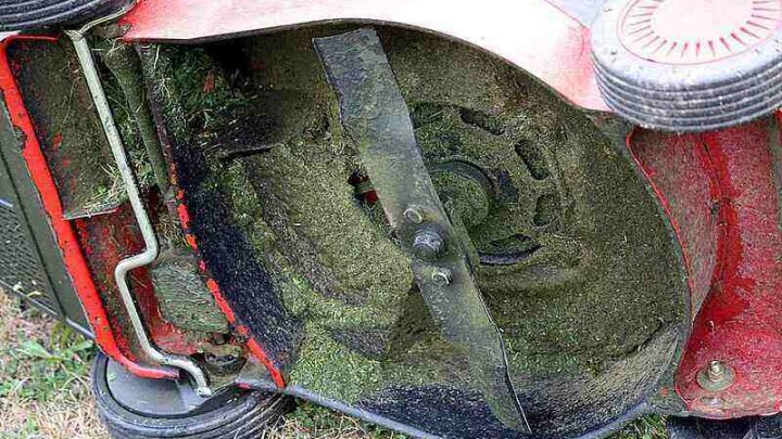 how to replace drive belt on self propelled walk behind…
![Safely Remove Dried Grass From Your Mower Deck Without
