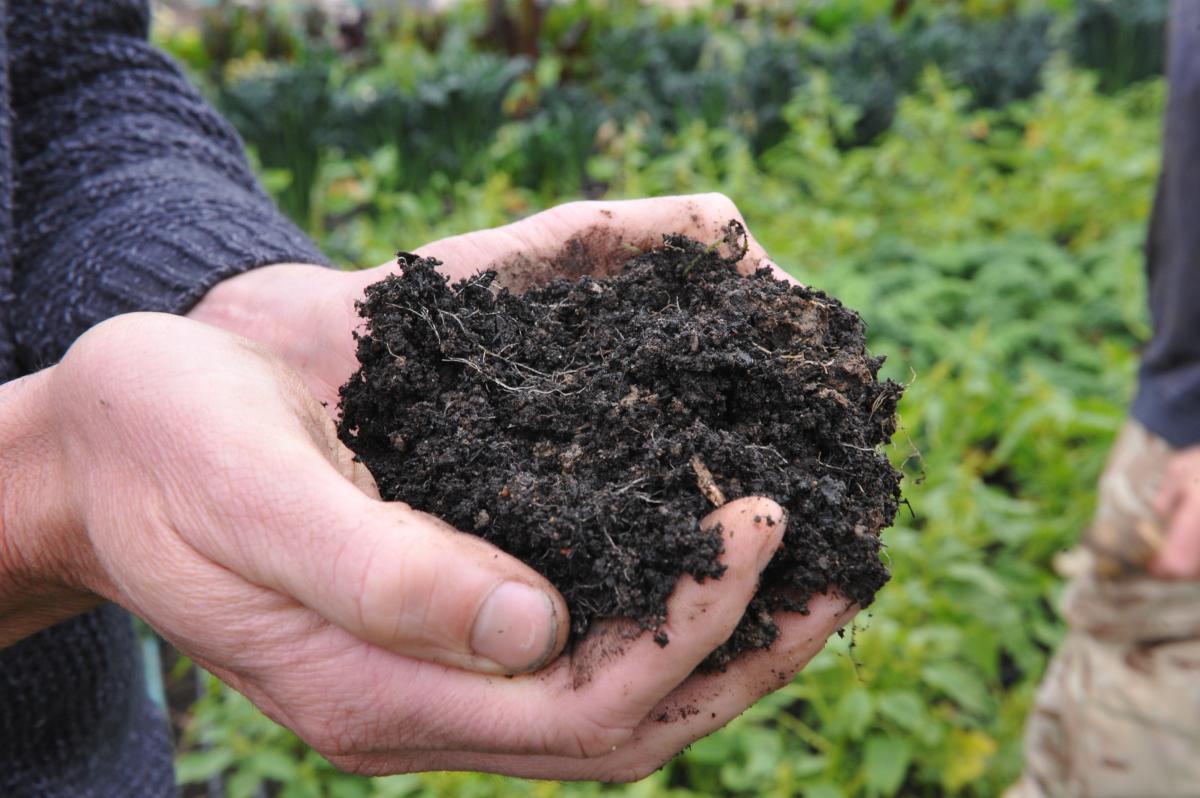 how to topdress lawn with biochar and compost