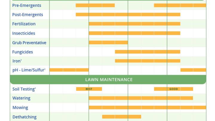 How Often to Spray Humic Acid on Your Lawn: Expert Schedule