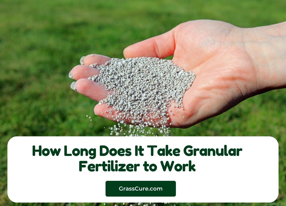 Ironite and Milorganite N-P-K and iron analysis