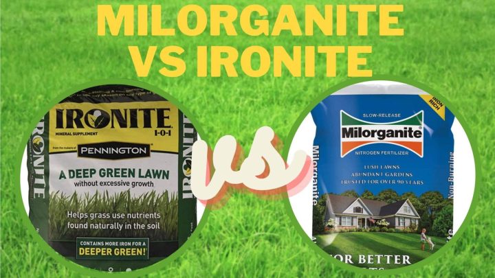 Ironite vs Milorganite: Which Fertilizer Greener Grass?