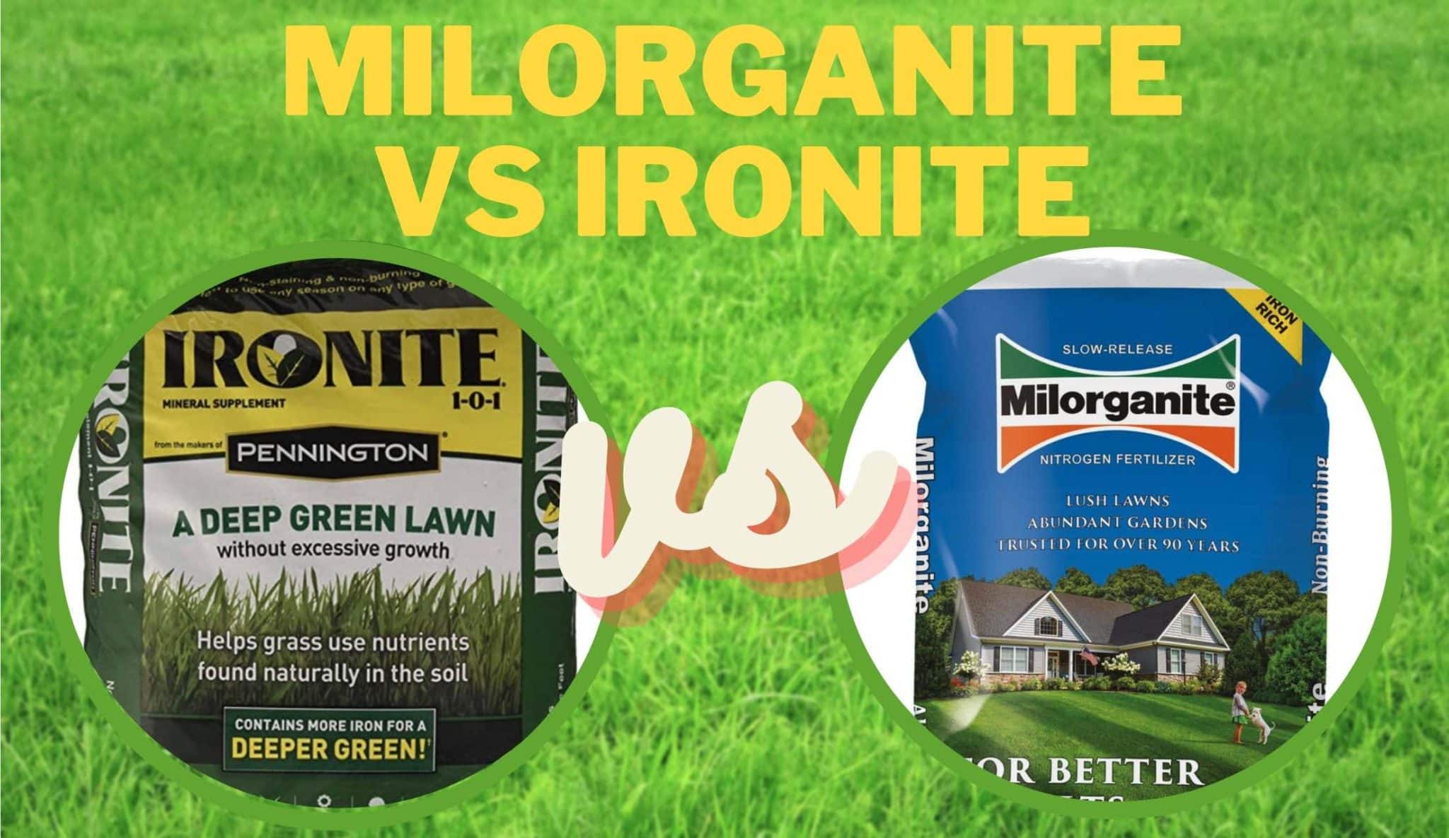 ironite vs milorganite for green grass