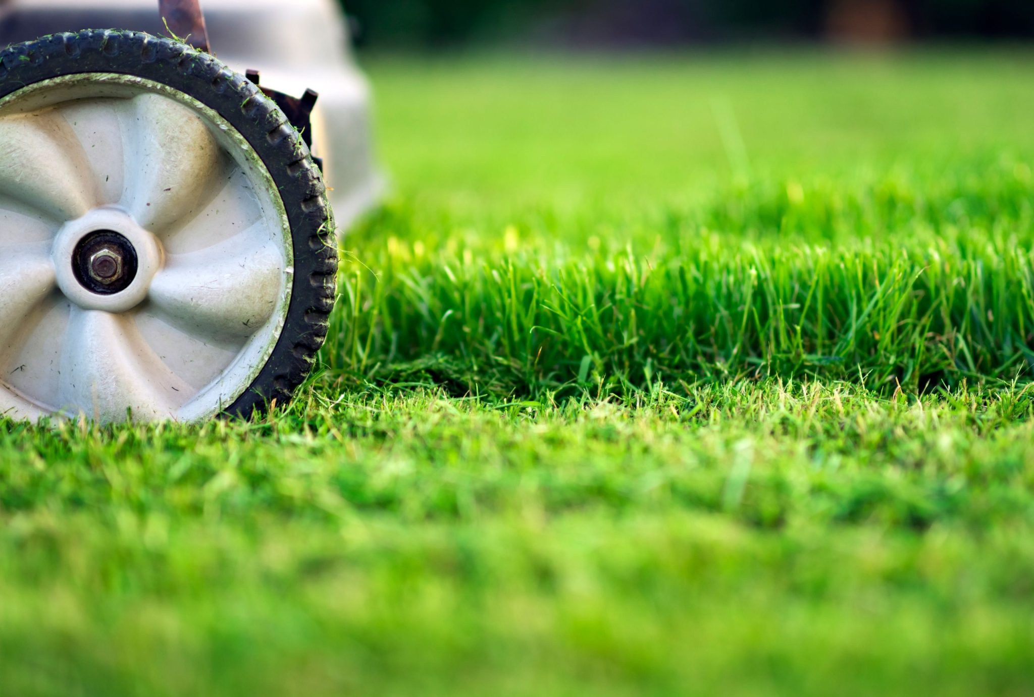 Lawn assessment and mowing height