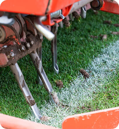 lawn dethatching and core aeration