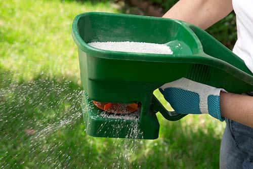 lawn fertilization schedule