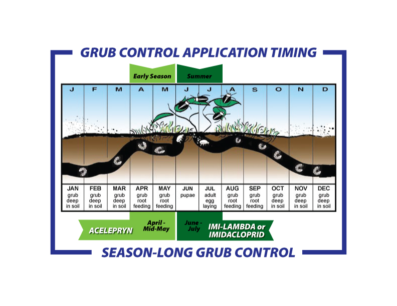 milky spore vs nematodes and chemical grub treatments