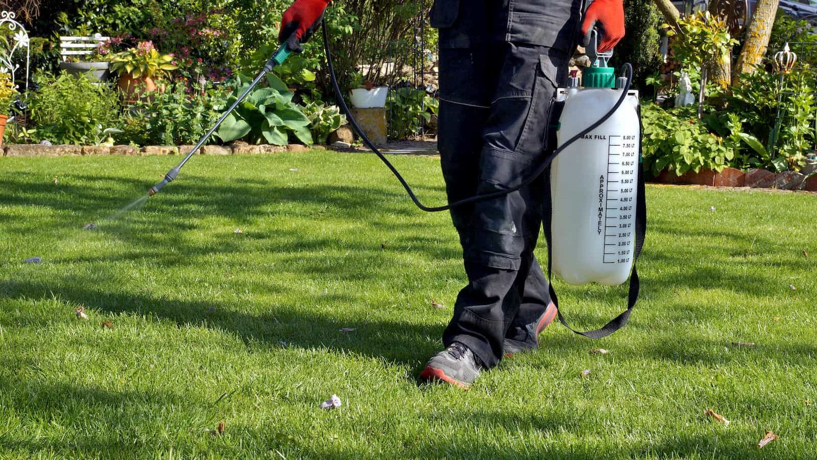 organic weed killers that actually work without glyphosate