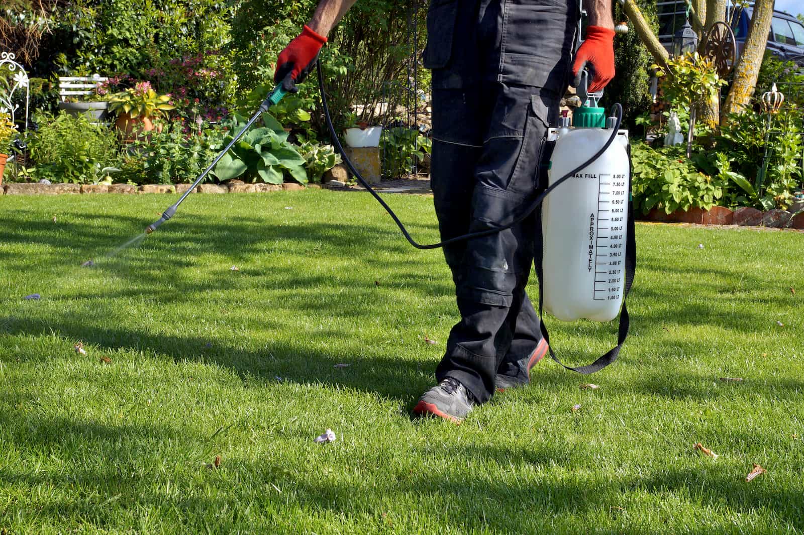 organic weed killers that actually work without glyphosate