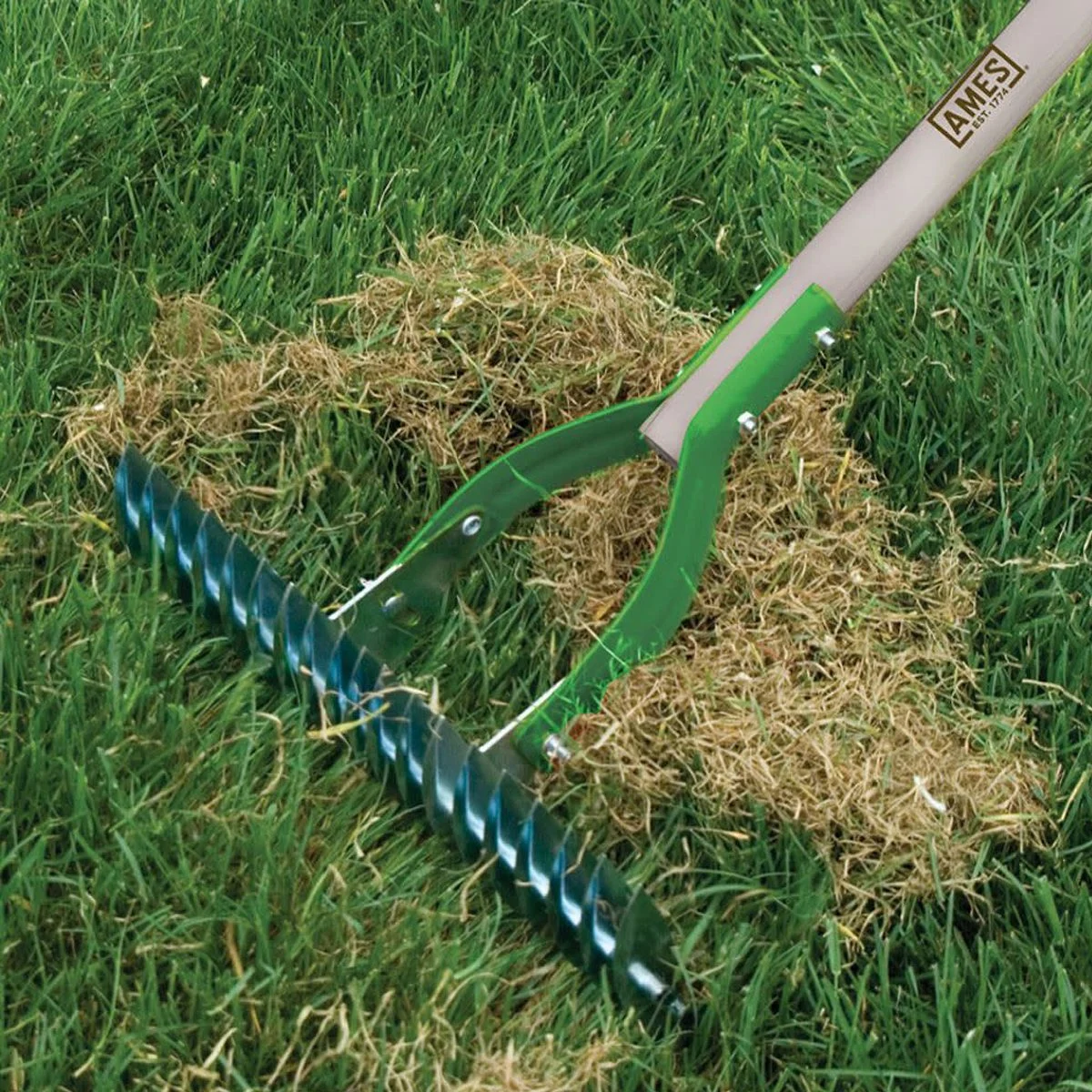overseeding workflow and lawn conditions