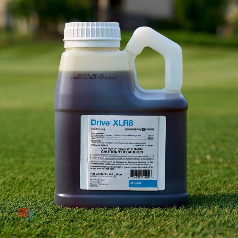 Field agronomist applying selective quinclorac post-emergent herbicide with a pump sprayer to kill mature crabgrass in tall fescue