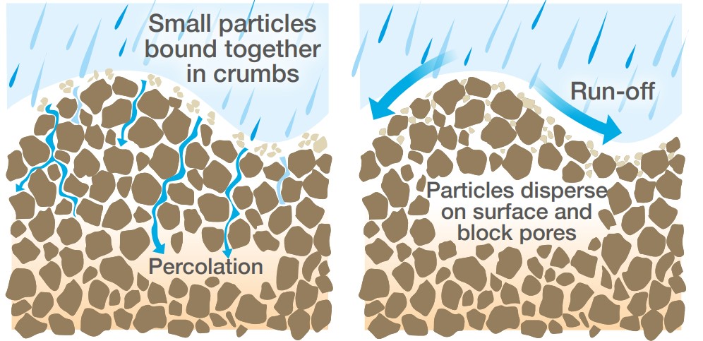 saponin soil surfactant mechanism