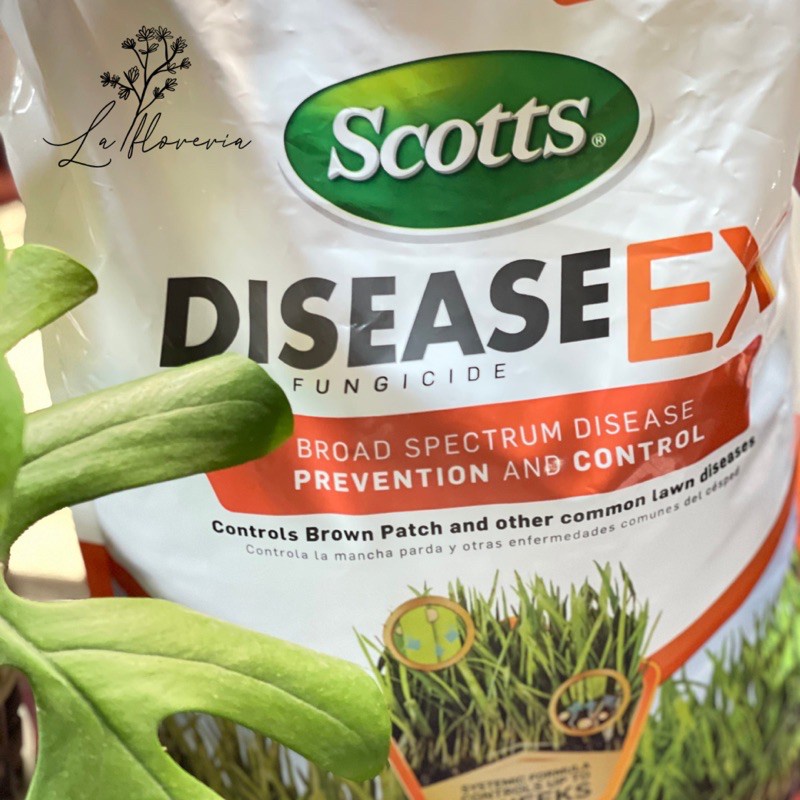 scotts diseaseex application rate and watering instructions