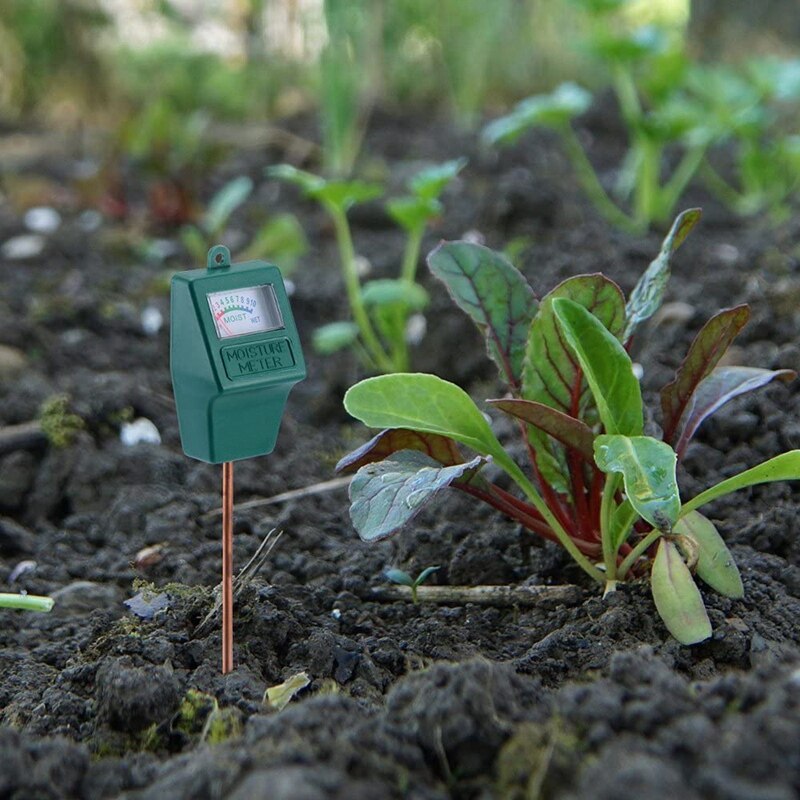screwdriver test vs soil moisture meter comparison