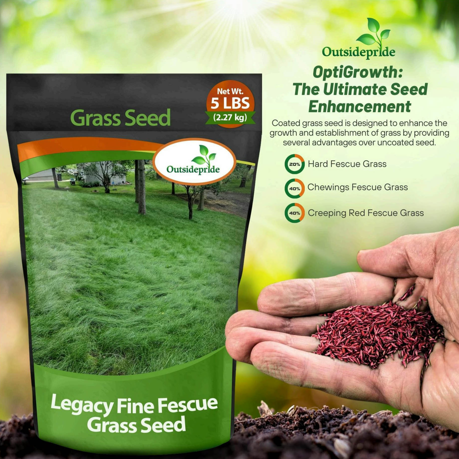 shade-tolerant grass seed blend