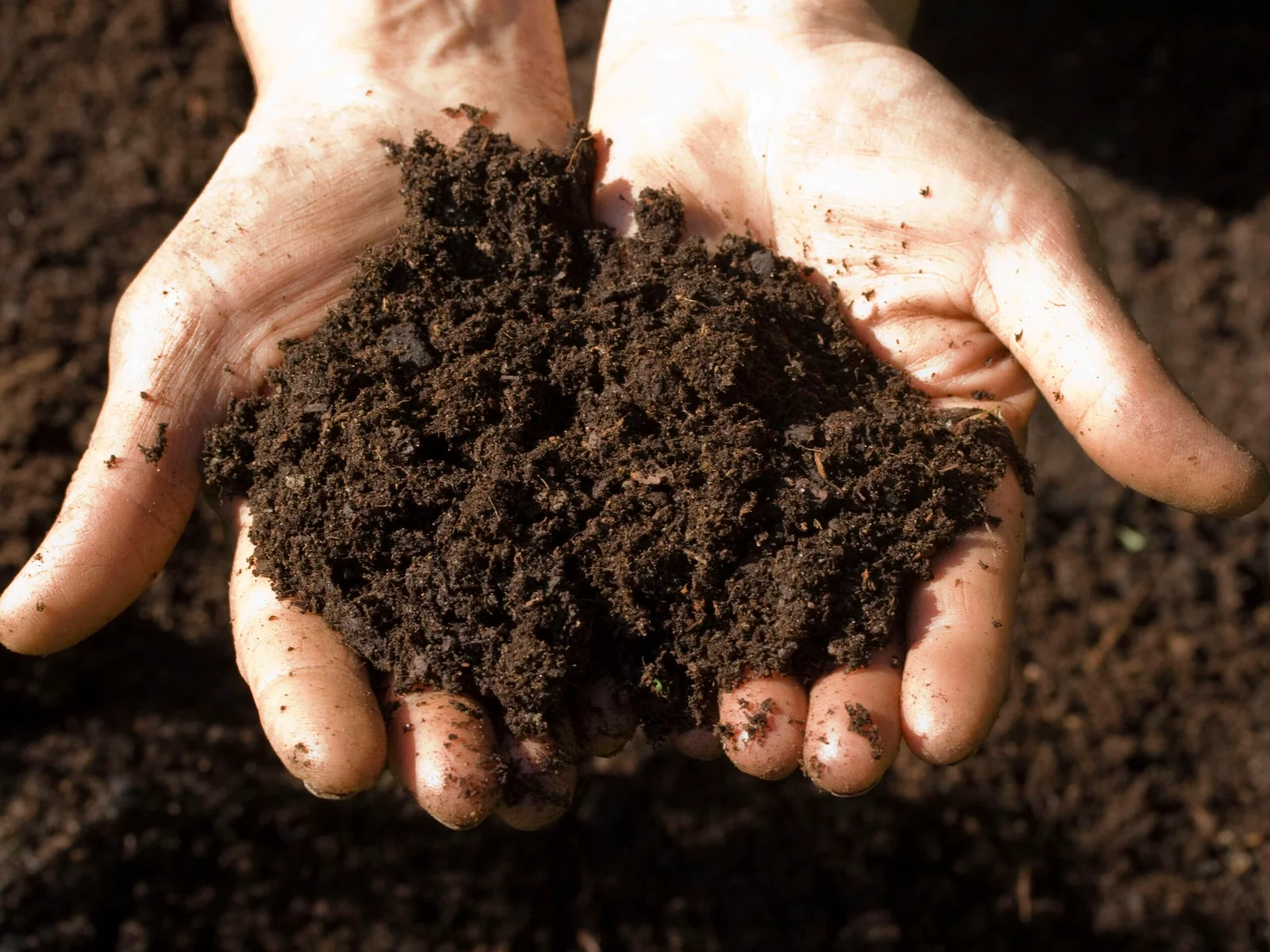 soil type lime rate