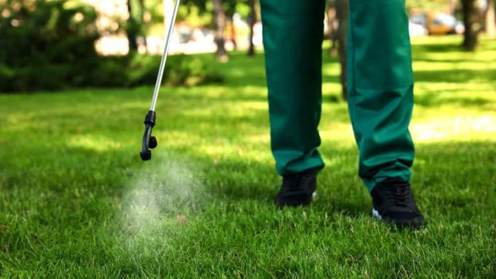 How Often to Spray Humic Acid on Your Lawn (Expert Tips)