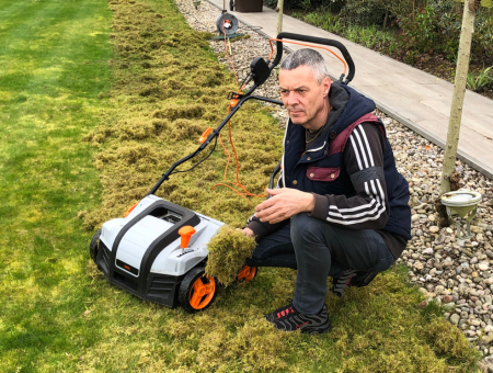 step-by-step dethatching technique