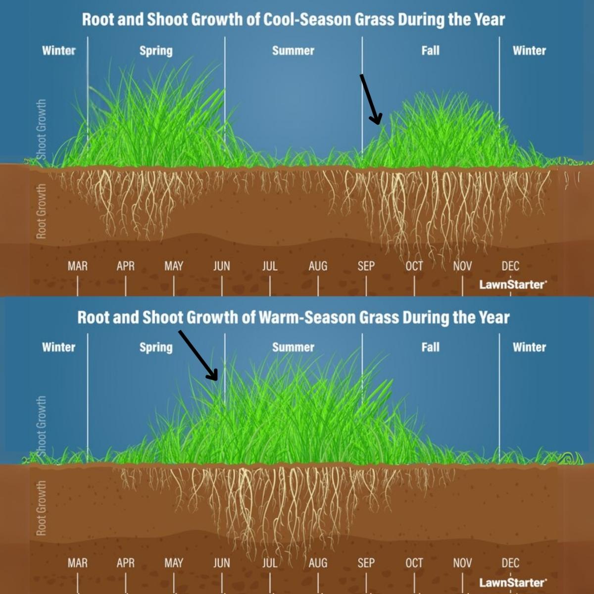 urine-resistant grass types and soil pH