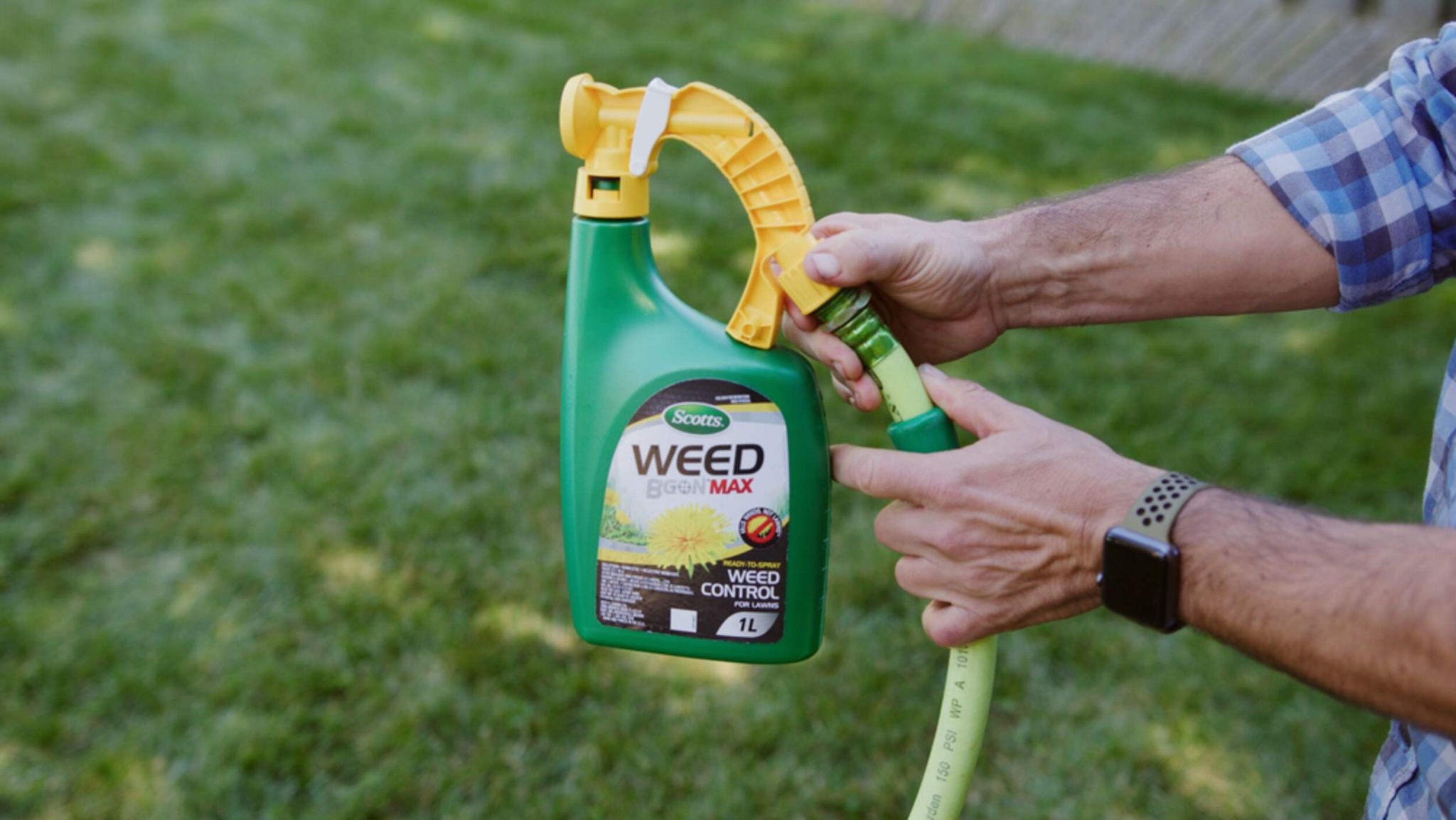 Horticultural 20 percent concentration vinegar weed killer sprayed directly on weeds sprouting between driveway concrete seams