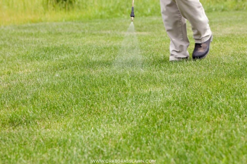 watering instructions after scotts diseaseex application