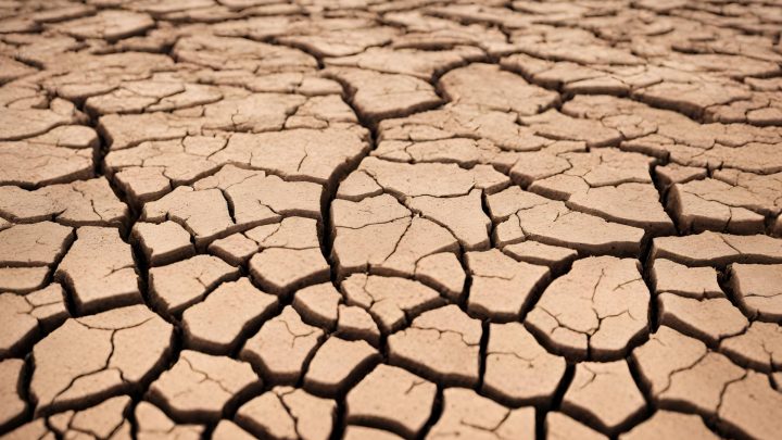 How Fast Does Liquid Aeration Loosen Hard Clay Soil?