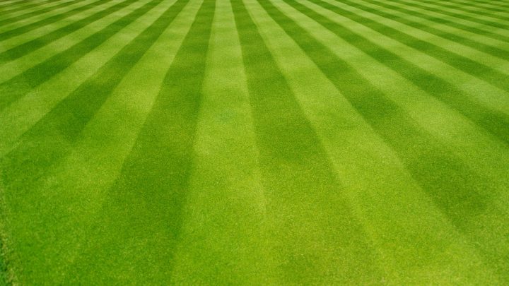 Uneven Cut Lines on Your Lawn? Here’s What Causes Them