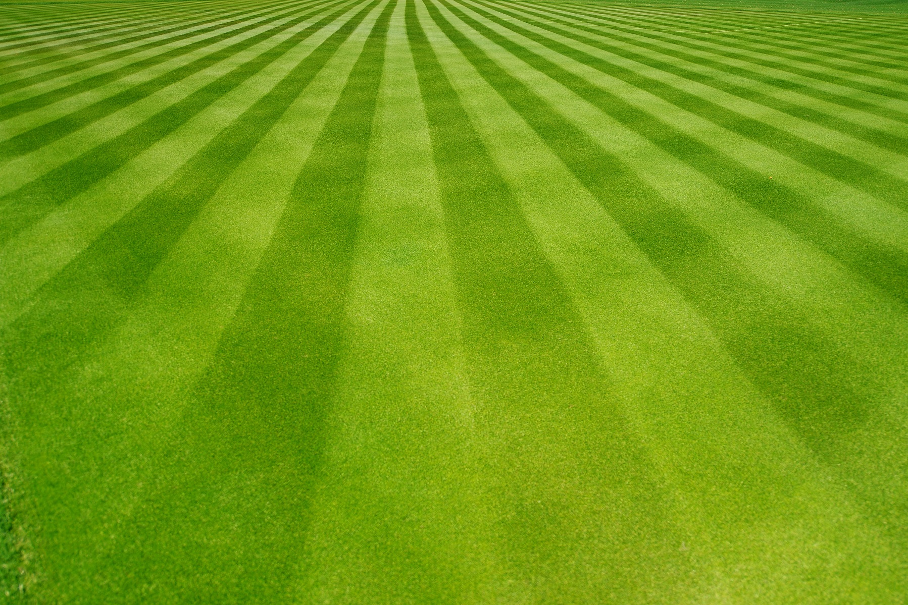 what causes uneven cut lines on freshly mowed lawn