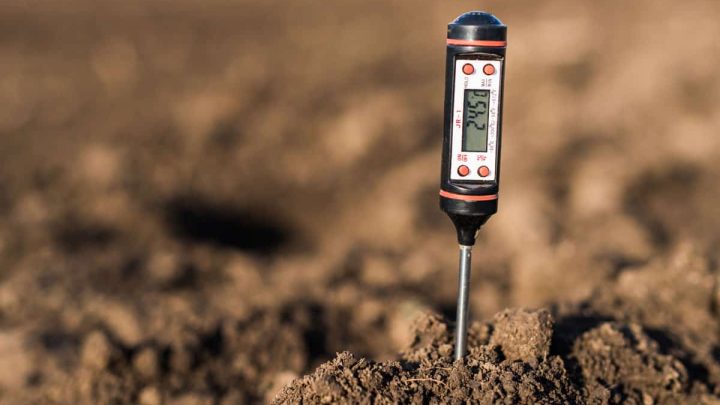 When to Apply Pre-Emergent in Spring: The Complete Guide