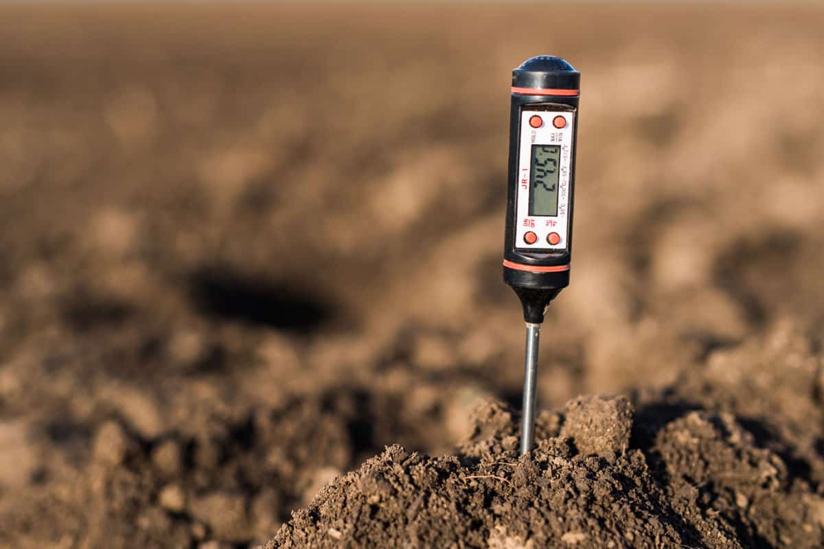 when to apply pre emergent in spring
